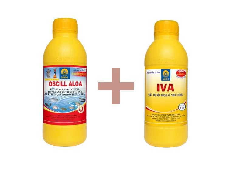 OSCILL ALGA + IVA: BỘ ĐÔI XỬ LÝ NGOẠI KÝ SINH TRÙNG AN TOÀN HIỆU QUẢ ...