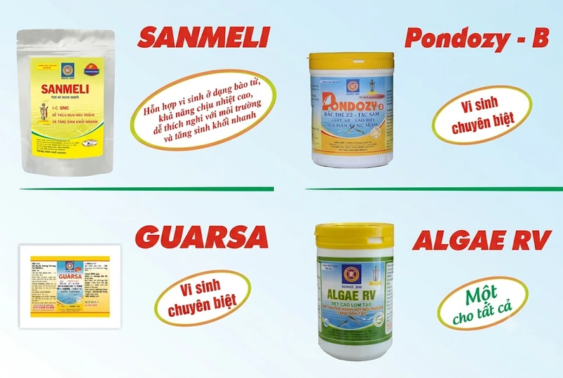 Bộ Sản Phẩm Xử Lý Tảo Độc Trong Ao Nuôi Tôm