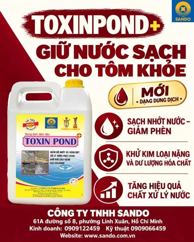 CÁC ĐỘC TỐ THƯỜNG PHÁT SINH TRONG AO NUÔI VÀ GIẢI PHÁP PHÒNG NGỪA, XỬ LÝ