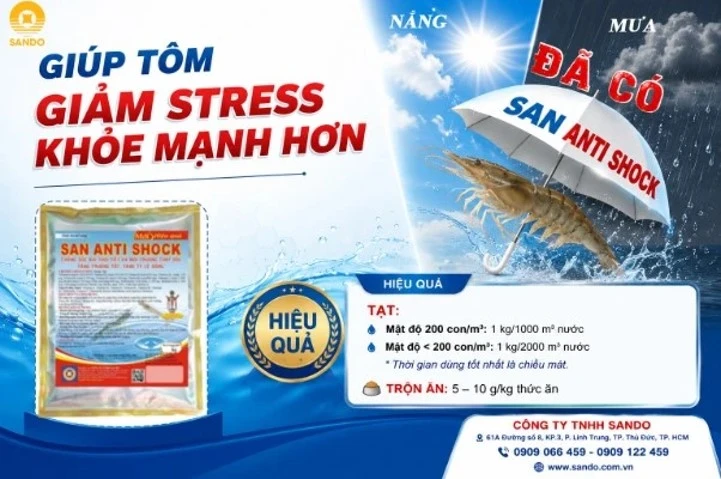 SAN ANTI SHOCK – giúp tôm giảm stress trong mùa nắng nóng