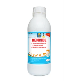 An toàn sinh học trong chăn nuôi gia súc – gia cầm với sản phẩm thuốc sát trùng Bencide