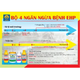 Bệnh vi bào tử EHP trên tôm và giải pháp phòng ngừa