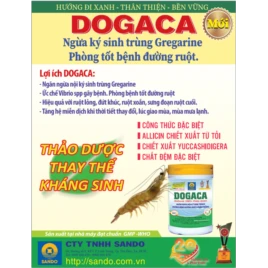 Dogaca- giải pháp thảo dược bảo vệ đường ruột tôm