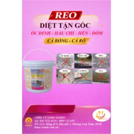 Hàu chỉ: Tác hại đối với tôm nuôi và biện pháp phòng ngừa, xử lý