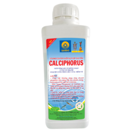 CALCIPHORUS - Khoáng dung dịch đặc biệt