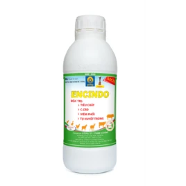 ENCINDO - Dung dịch uống