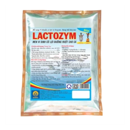 LACTOZYM (fish) - Men vi sinh có lợi đặc biệt