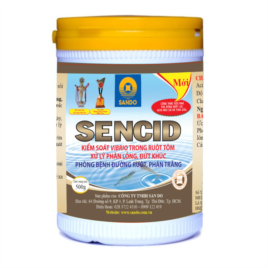 SENCID (tôm) - Diệt khuẩn Vibrio Sp