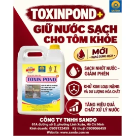 CÁC ĐỘC TỐ THƯỜNG PHÁT SINH TRONG AO NUÔI VÀ GIẢI PHÁP PHÒNG NGỪA, XỬ LÝ