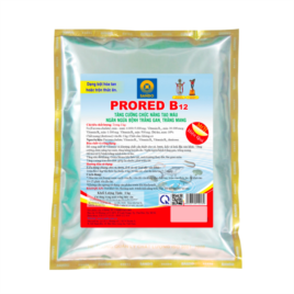 PRORED B12 - Vitamin và khoáng tổng hợp
