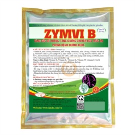 ZYMVI B - Bổ sung vitamin, vi khuẩn có lợi và khoáng