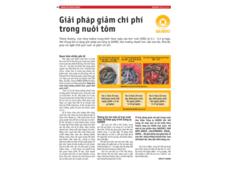GIẢI PHÁP GIẢM CHI PHÍ TRONG NUÔI TÔM