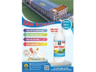SAN TOMAX – Giải pháp tăng trưởng hiệu quả cho gia cầm