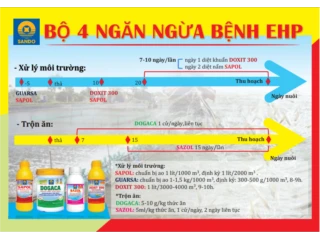 Bệnh vi bào tử EHP trên tôm và giải pháp phòng ngừa