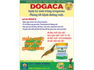 Dogaca- giải pháp thảo dược bảo vệ đường ruột tôm