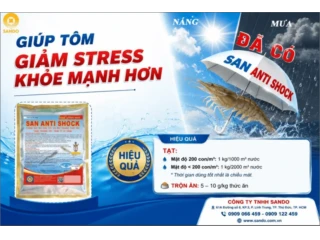 Giải pháp chống sốc, giảm stress cho tôm vào mùa mưa