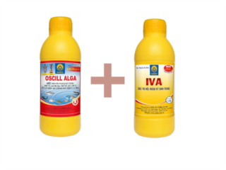 OSCILL ALGA + IVA: BỘ ĐÔI XỬ LÝ NGOẠI KÝ SINH TRÙNG AN TOÀN HIỆU QUẢ TRÊN CÁ CÓ VẢY