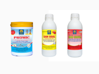 Bộ ba phòng trị bệnh phân trắng trên tôm do Vibrio spp.