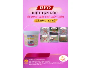 Hàu chỉ: Tác hại đối với tôm nuôi và biện pháp phòng ngừa, xử lý