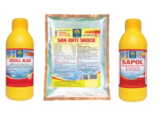 BỘ 3 SẢN PHẨM: OSCILL ALGA + SAPOL + SAN ANTI SHOCK