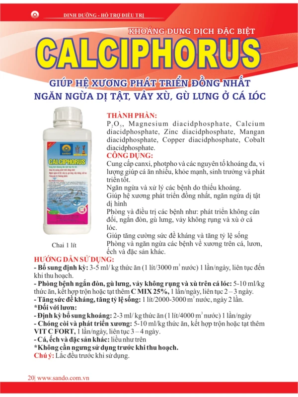 catalo-ca-2026_page-0020.jpg