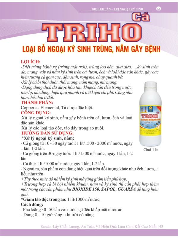 catalo-ca-2026_page-0043.jpg