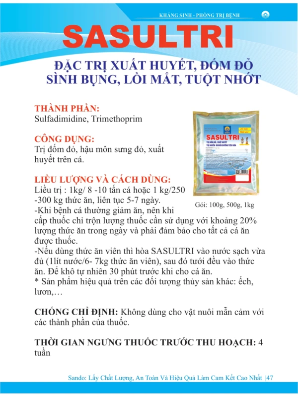 catalo-ca-2026_page-0047.jpg