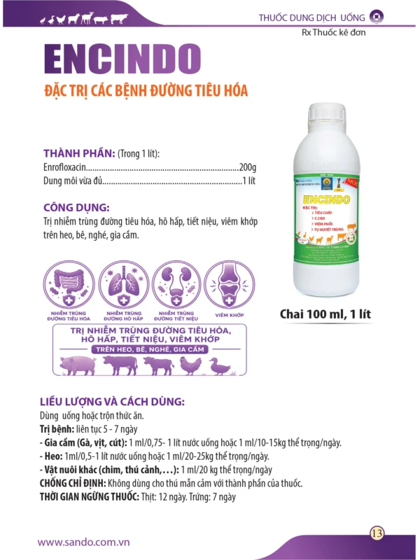 catalo-thu-y-2026-13.jpg