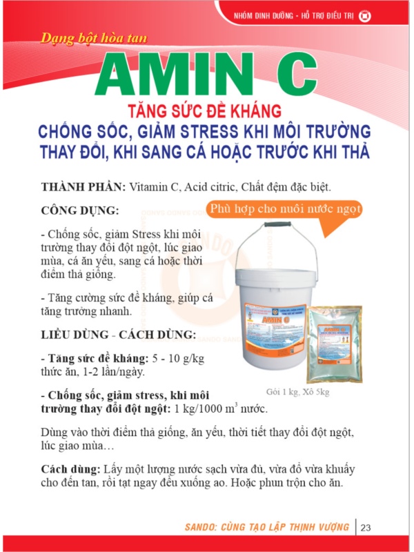 23-amin-c.jpg