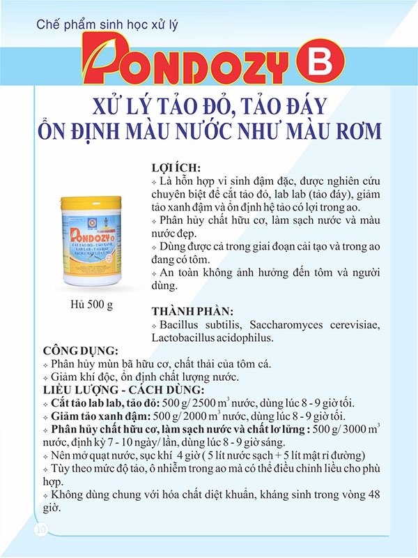 9--pondozy-b.jpg