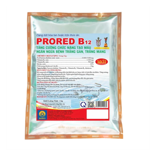PRORED B12 - Tăng chức năng tạo máu, tăng hồng cầu