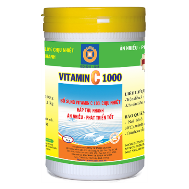 VITAMIN C 1000 - Vitamin C, tăng đề kháng, chốc sốc, giảm stress