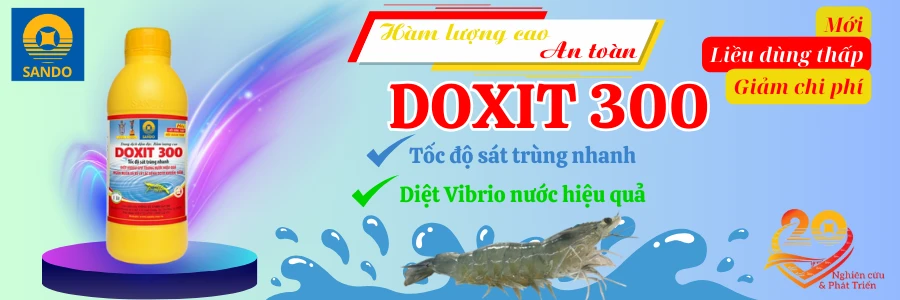 Doxit 300 tôm