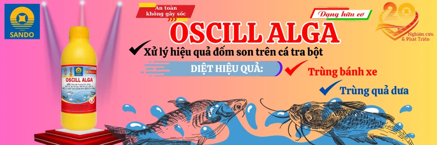 oscill-alga-fish